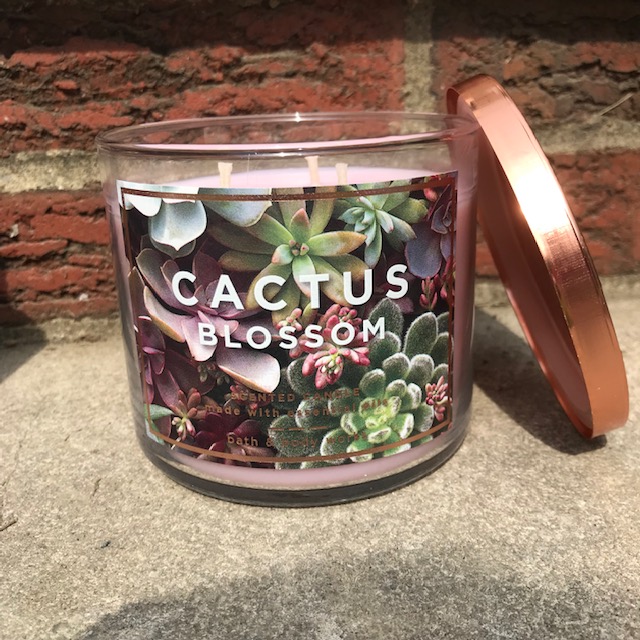 Bath & Body Works Cactus Blossom Review - NEW 